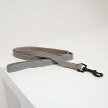 Kentucky - Laisse Lizard - Beige