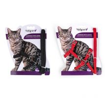 Vadigran - Harnais Et Laisse Nylon Pour Chat - Rouge