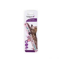 Vadigran - Collier Chat Charm 20-30cmx10mm - Rose