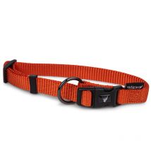 Vadigran - Collier Pour Chiens Classic Nylon - Orange - Taille XL