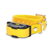 Dogtra - Collier De Dressage Supplémentaire Iq Mini - Jaune