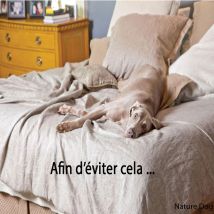 PetSafe - Mini-barrière De Délimitation Pawz Away