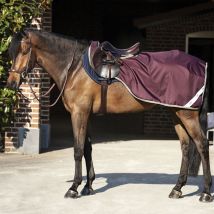 Horseware - Couvre-reins Amigo Competition Sheet Ripstop - Marine