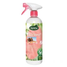 Ravene - Easy Shine Lustrant