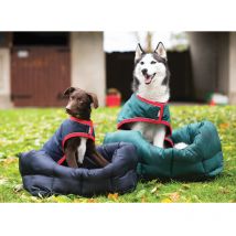 Horseware - Couverture Imperméable Pour Chien Rambo Dog Rug