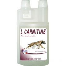 Rekor - Complément Alimentaire Effort Et Récupération L-carnitine 1l