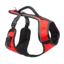 PetSafe - Harnais Easy Sport Petsafe - Rouge - Taille L