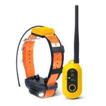 Dogtra - Kit Repérage Dressage Pathfinder 2 - Orange