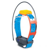 Dogtra - Kit Repérage Dressage Pathfinder 2 - Bleu