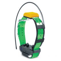Dogtra - Kit Repérage Dressage Pathfinder 2 - Vert