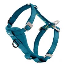 Kurgo - Harnais De Sécurité Tru-fit - Bleu - Taille M