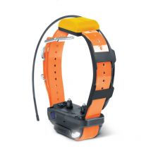 Dogtra - Collier Supplémentaire Pathfinder 2 - Orange