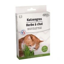 Bubimex - Herbe À Chat À Brocher 100g