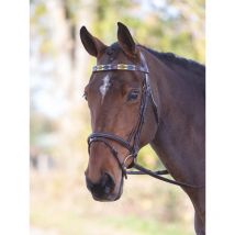 Nature Horse - Frontal En Cuir Polo - Jaune / Vert / Violet - Taille Cheval