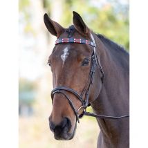 Nature Horse - Frontal En Cuir Polo - Rouge / Bleu - Taille Cob