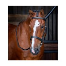 Nature Horse - Bridon Cuir Plat Anatomique - Noir - Taille Cob