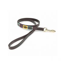 Nature Horse - Laisse Pour Chien Digby & Fox - Jaune / Vert / Violet - Taille M