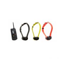 Num'axes - Pack De Dressage Canicom 1500 3 Chiens