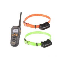 Num'axes - Pack De Dressage Canicom 5.800 2 Chiens