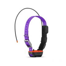 Garmin - Collier De Repérage Et Dressage Tt25 - Violet