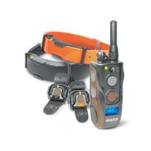 Dogtra - Colliers De Dressage Arc 802 Free Plus