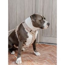 Kentucky - Harnais Pour Chien Active Teddy Fleece - Beige