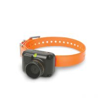 Dogtra - Collier Récepteur Seul 2600 / 2602 T&b - Orange