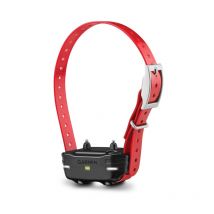 Garmin - Collier Seul Pt 10 Pro 70/550 Et Sport Pro Dressage - Rouge