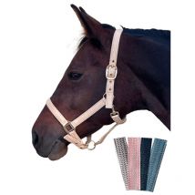 Canter - LICOL MALIBU CANTER Vieux rose;taille