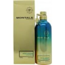 Montale Aoud Lagoon Eau de Parfum 100ml Spray