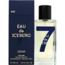 Iceberg Eau de Iceberg Cedar Eau de Toilette 100ml Spray