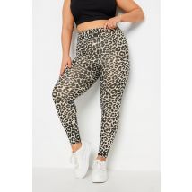 Limited Collection Curve Brown Leopard Print Leggings, Women's Curve & Plus Size, Limited Collection