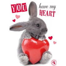 Studio Pets - Valentijnskaart - konijntje - hart