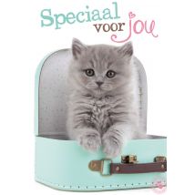 Studio Pets - Vriendschapskaart - kitten - koffer