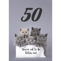 Catchy Images - Verjaardagskaart - Katten