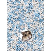Catchy Images - Geboorte kaart - blauwe muisjes