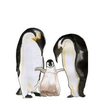 Marie Bodie - Geboortekaart - pinguins