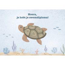 Little Dutch - Geslaagdkaart - Schildpad