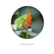 Bright Spot - Condoleancekaart - vlinder
