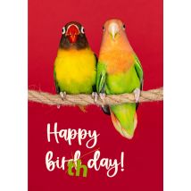 Catchy Images - Verjaardagskaart - Vogels