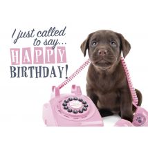 Verjaardagskaart - Studio Pets - Dieren