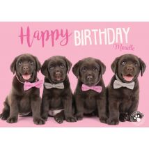 Studio Pets - Happy birthday - Honden - Met naam
