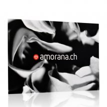 Amorana, Gift Card Day & Night, Gift Card: Sexy Gift - Amorana