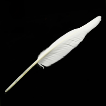 Pure White Color Turkey Plumes, Large Quill Feathers for Fashion Decorations, 14-16Inch, 10-100 Pcs Lot