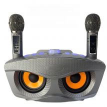 SD306Plus Professional Karaoke Machine Wireles Bluetooth Speaker With Dual Mic Outdoor Family KTV System 30W High-Power Portable