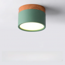 LED Downlight dimmable 5W 7W 9W12W15W Nordic wood modern Led surface mounted ceiling light spotlight, interior decoration light