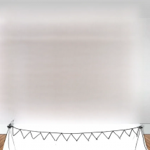 Photography Backgrounds for Photo Studio Customized Backdrop