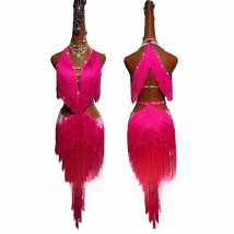 Latin Dance  Competition Show Custom Adult Children's Rose Red Embroidered Fringe Dance Dress