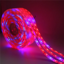 LED Phyto Lamps Grow Lights SMD 5050 LED Strip DC12V Flower Plant Growth Light Lamps for Greenhouse Hydroponic Plant Growing