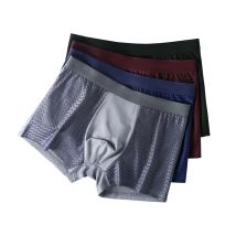 Men Underwear Male Thin Breathable Panties for Men's Ice Silk Underpant Mesh Sexy Square Corner Pants for Men's Shorts 4pcs/set